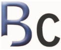 logo Bcls Business Class Language Solutions