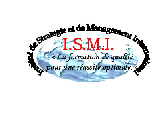 logo Ismi (institut De Stratégie Et De Management International)