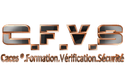logo Cfvs
