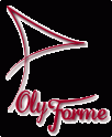 logo Poly-forme