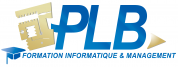 logo Plb Consultant