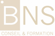 logo Bns Conseil Et Formation